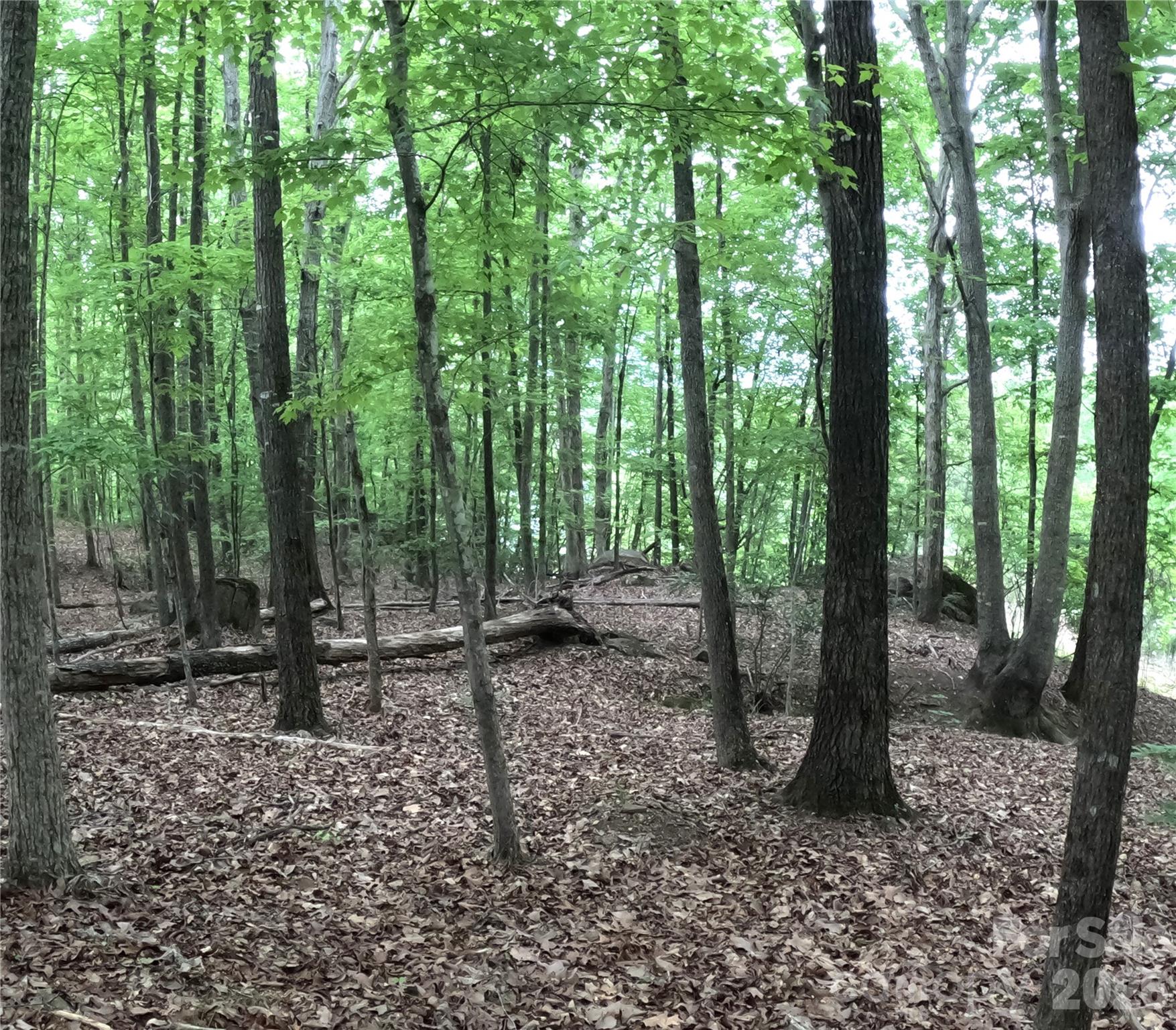 3111 Catawba Road Great Falls, SC 29055 - Photo 10 of 17 a backyard of a house with lots of green space