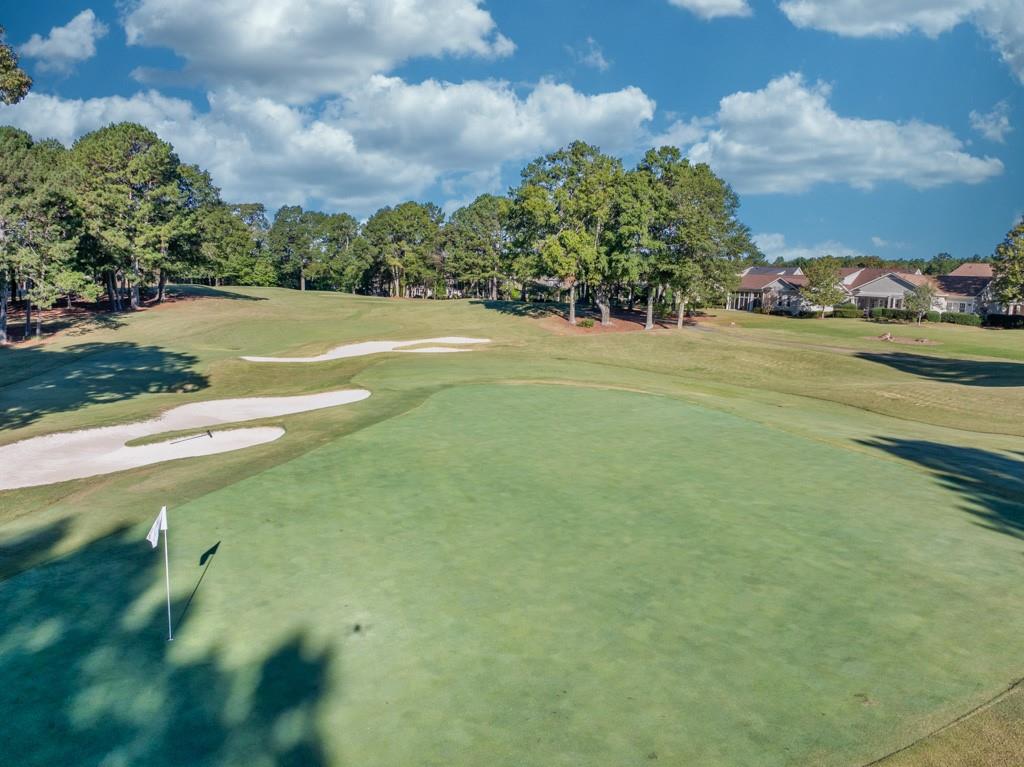 403 Tralee Court Statham, GA 30666 - Photo 95 of 98 a view of a garden with houses