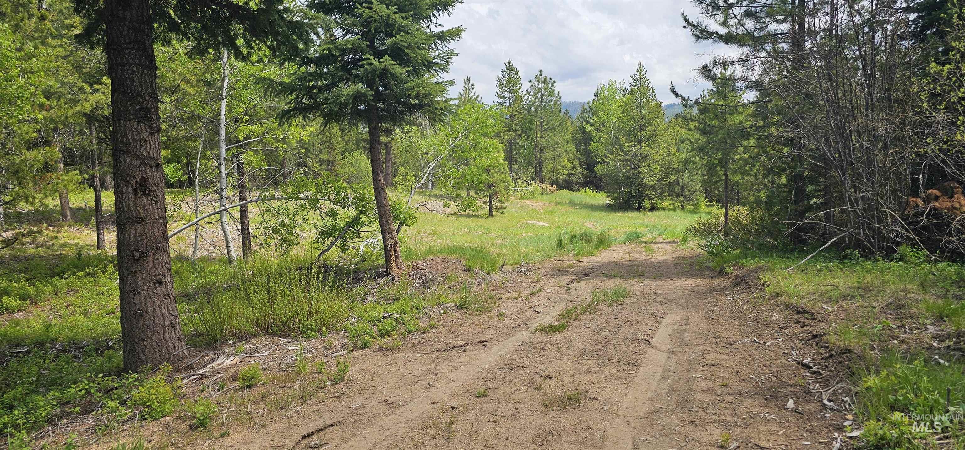23 Sawtooth Loop Cascade, ID 83611 - Photo 2 of 45