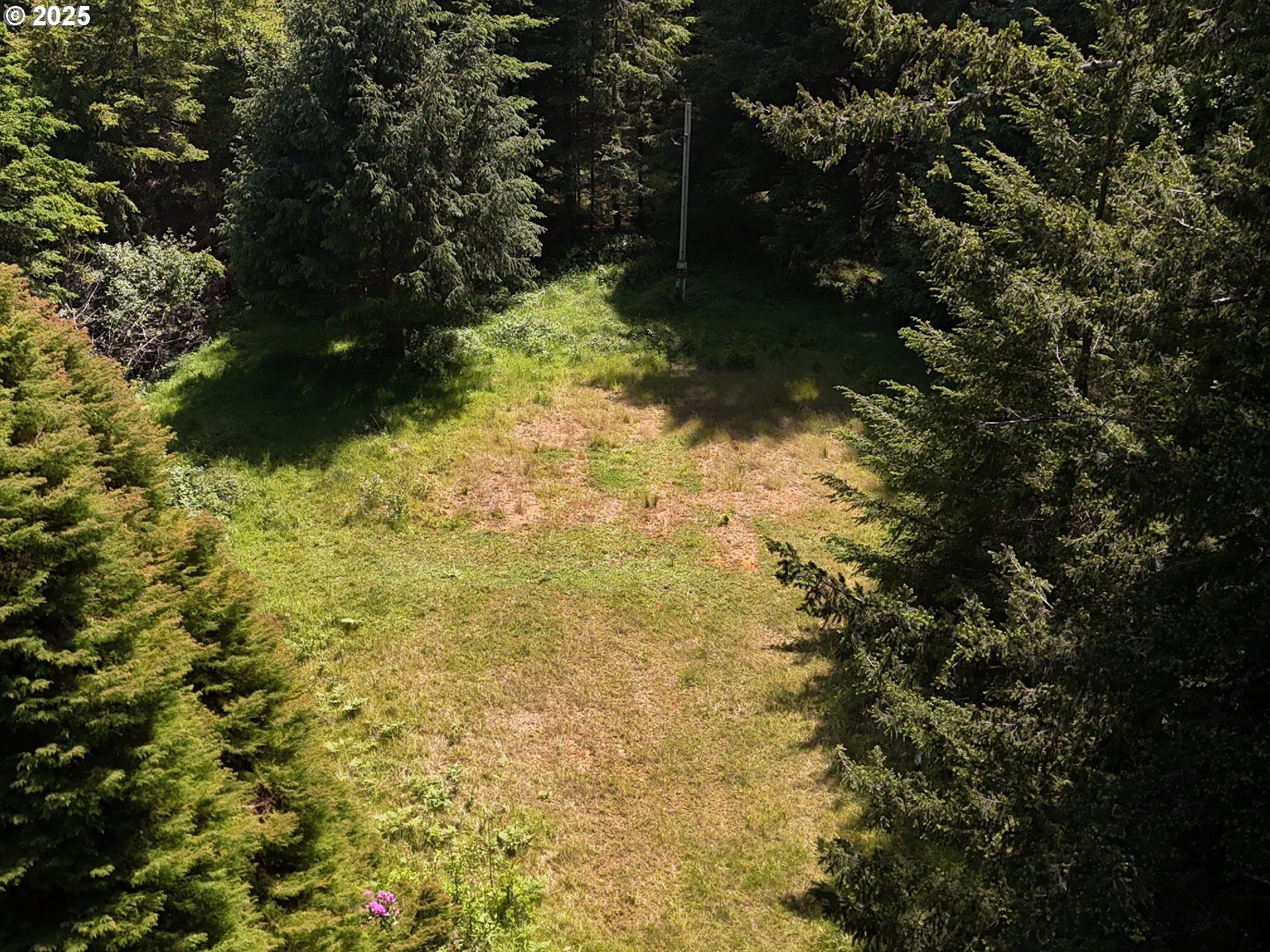 20452 Whaleshead Road Brookings, OR 97415 - Photo 11 of 40 a view of a yard with trees