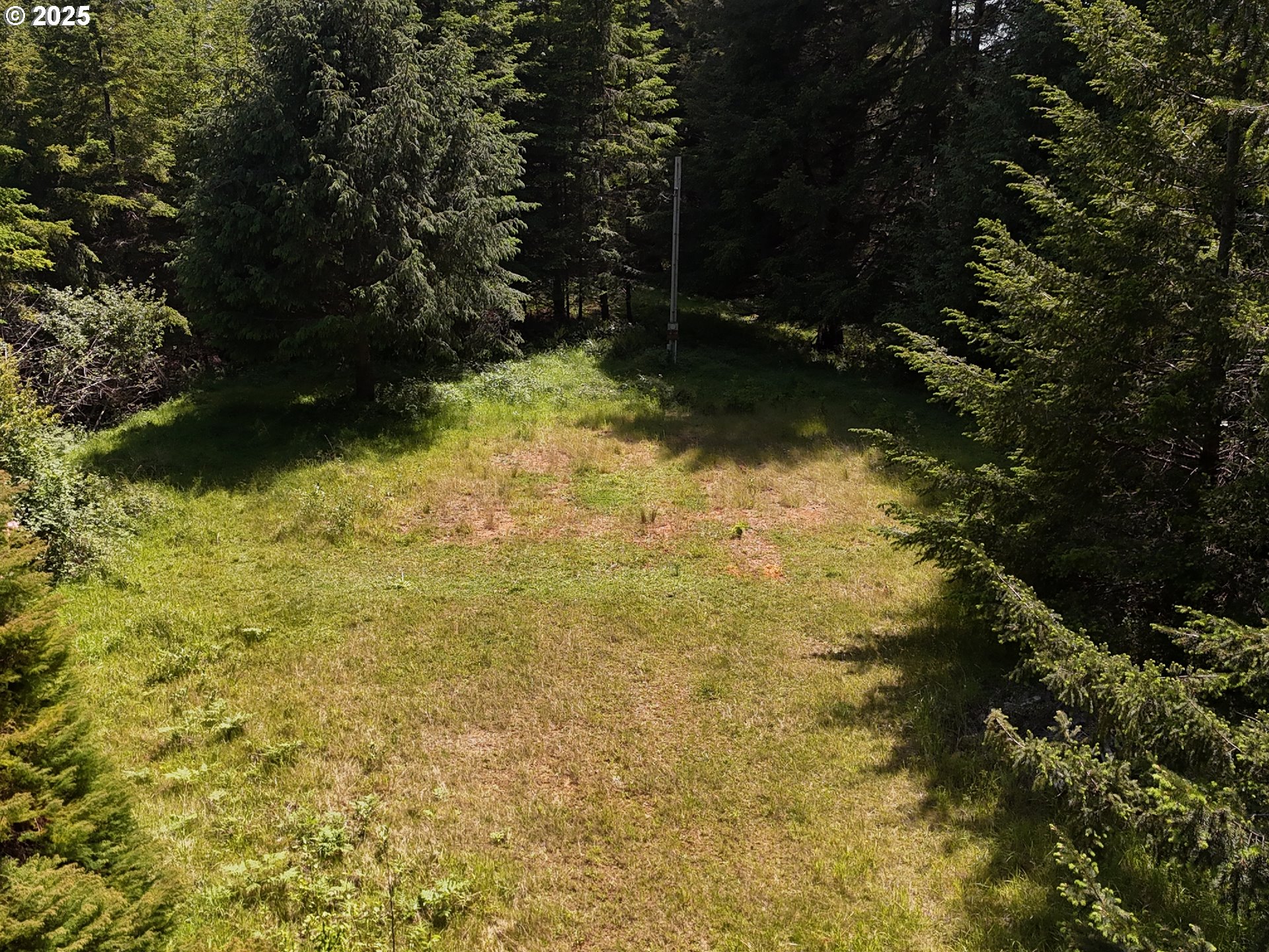 20452 Whaleshead Road Brookings, OR 97415 - Photo 12 of 40 a view of yard with green space