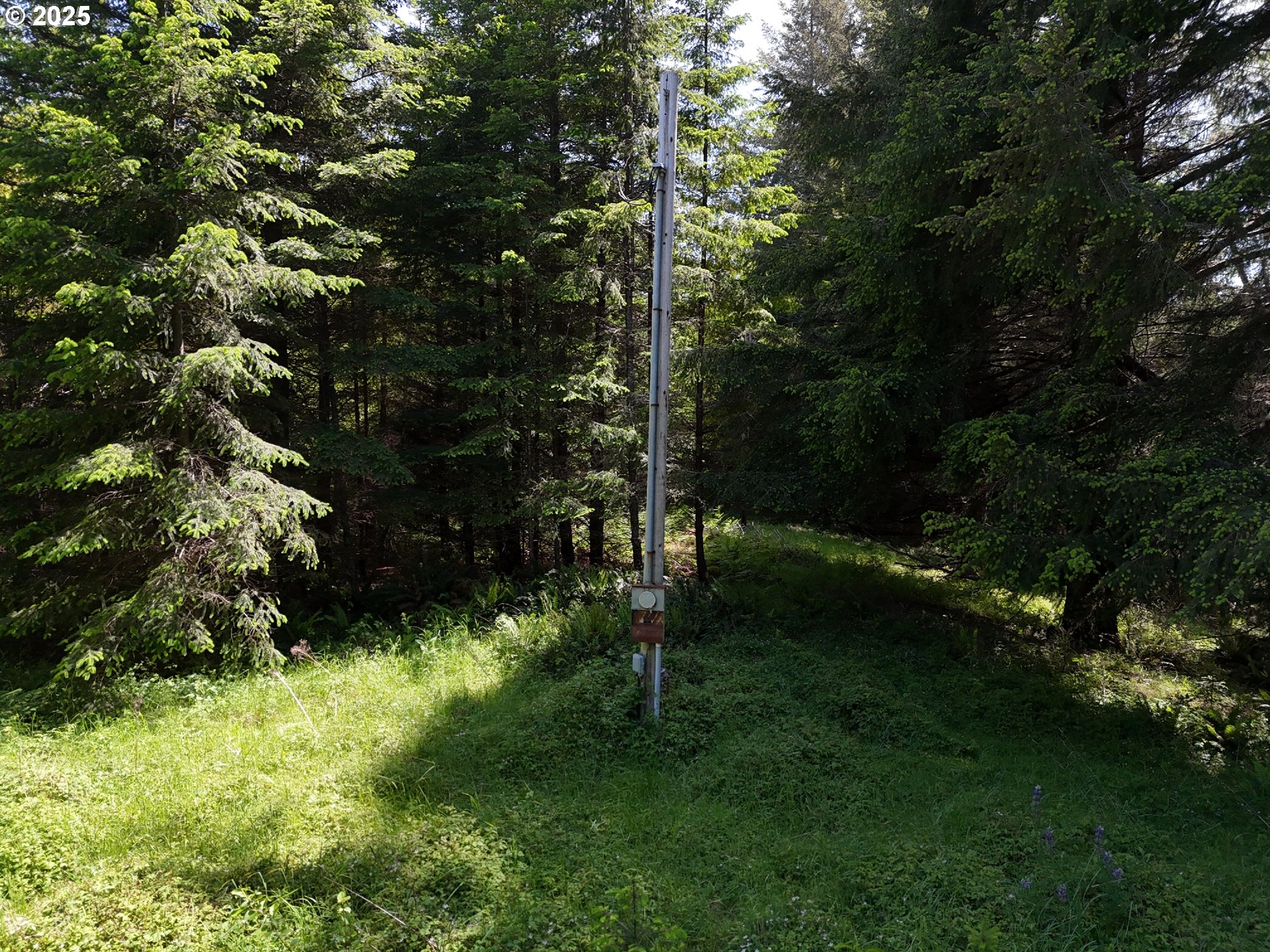 20452 Whaleshead Road Brookings, OR 97415 - Photo 13 of 40 a view of yard