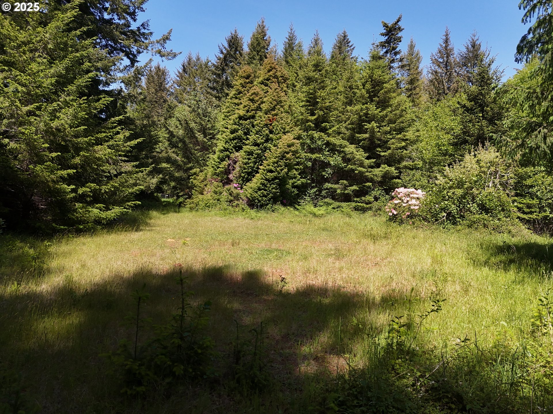 20452 Whaleshead Road Brookings, OR 97415 - Photo 14 of 40 a view of ocean