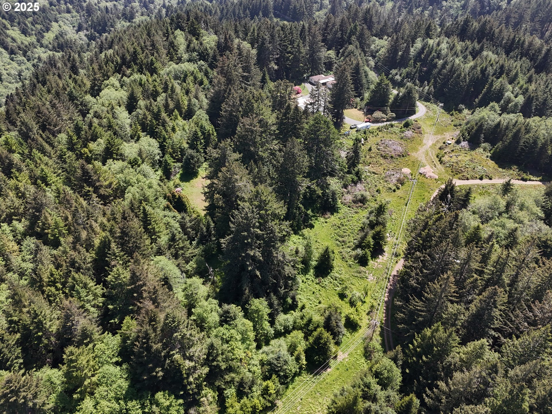 20452 Whaleshead Road Brookings, OR 97415 - Photo 18 of 40 a view of a forest with a tree