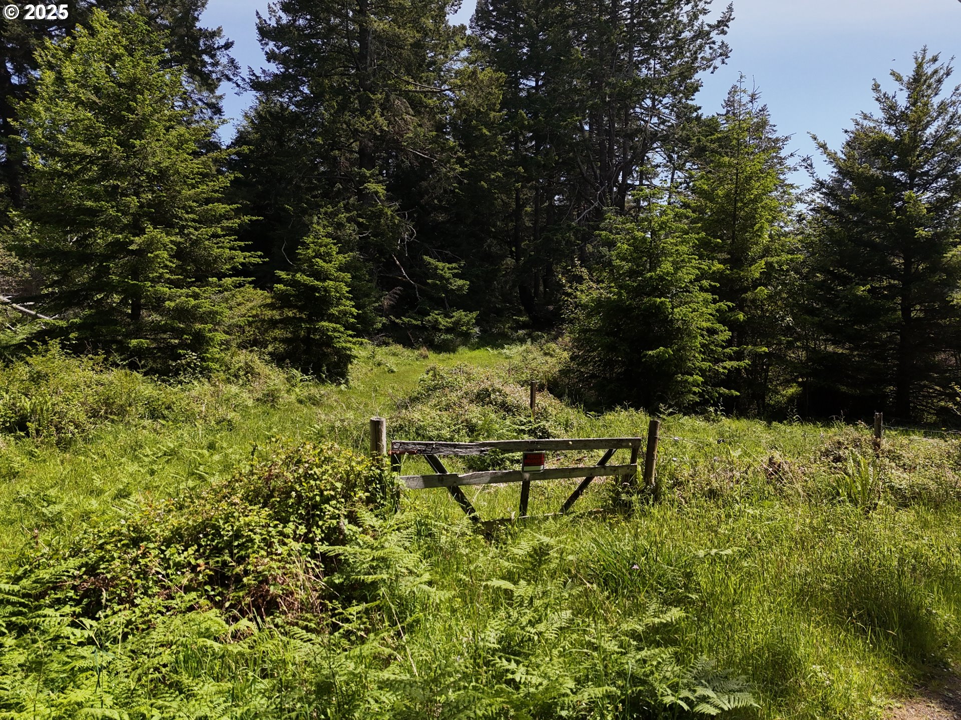 20452 Whaleshead Road Brookings, OR 97415 - Photo 28 of 40 a view of outdoor space with a lake view