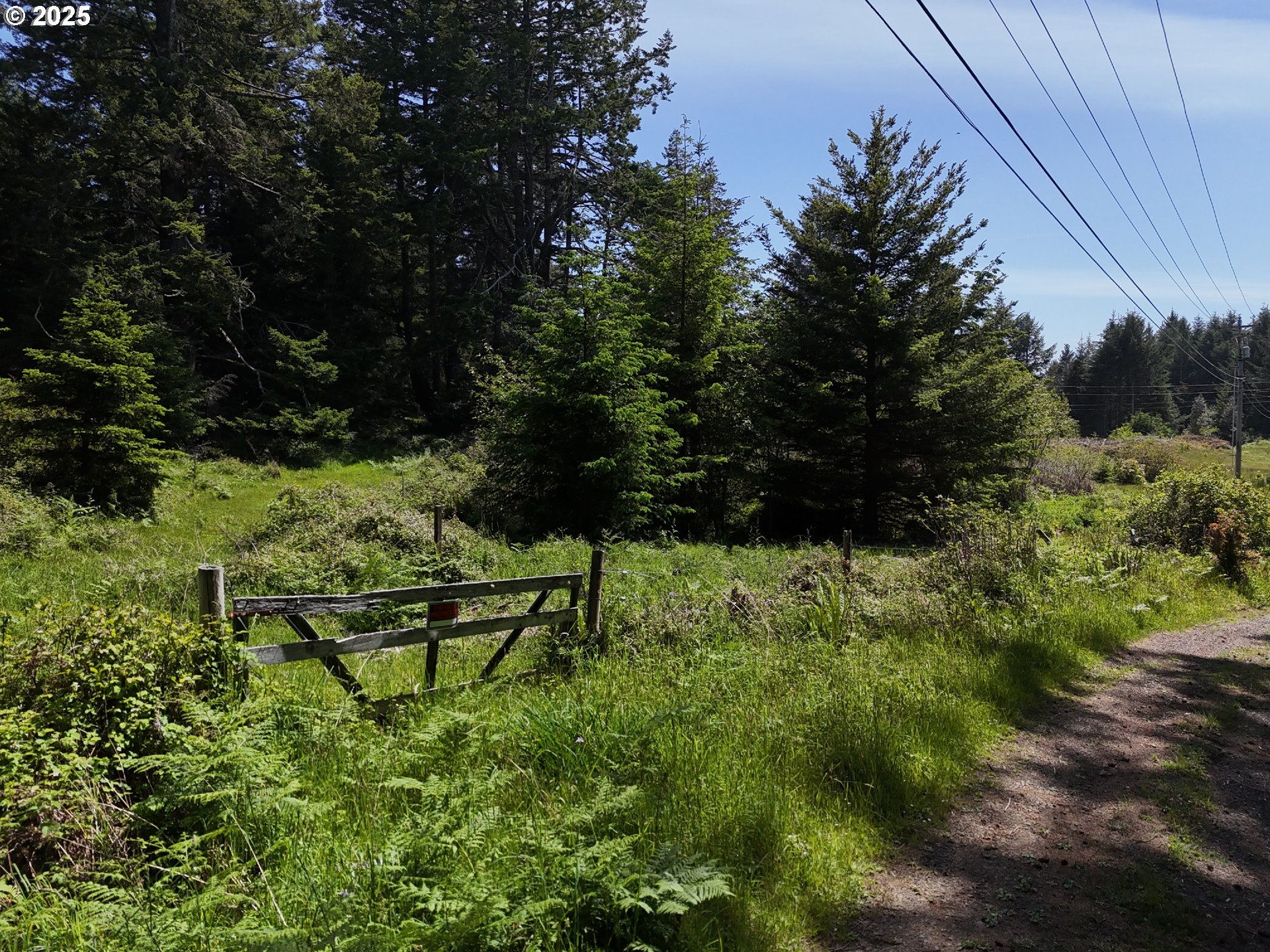 20452 Whaleshead Road Brookings, OR 97415 - Photo 29 of 40 a view of outdoor space and yard