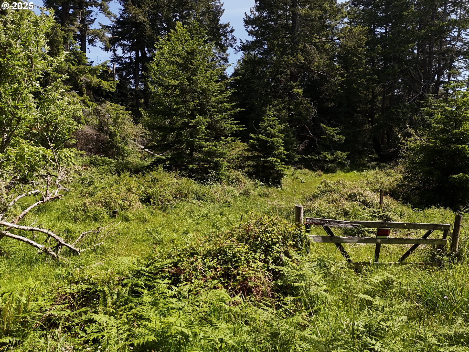 20452 Whaleshead Road Brookings, OR 97415 - Photo 30 of 40 a view of basketball court