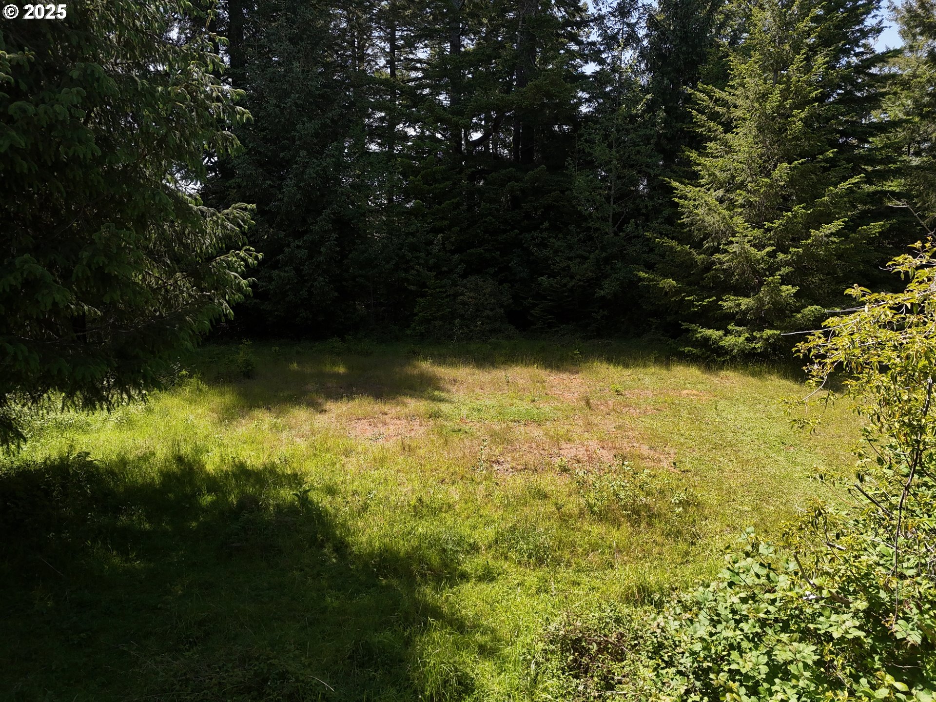 20452 Whaleshead Road Brookings, OR 97415 - Photo 32 of 40 a view of a garden