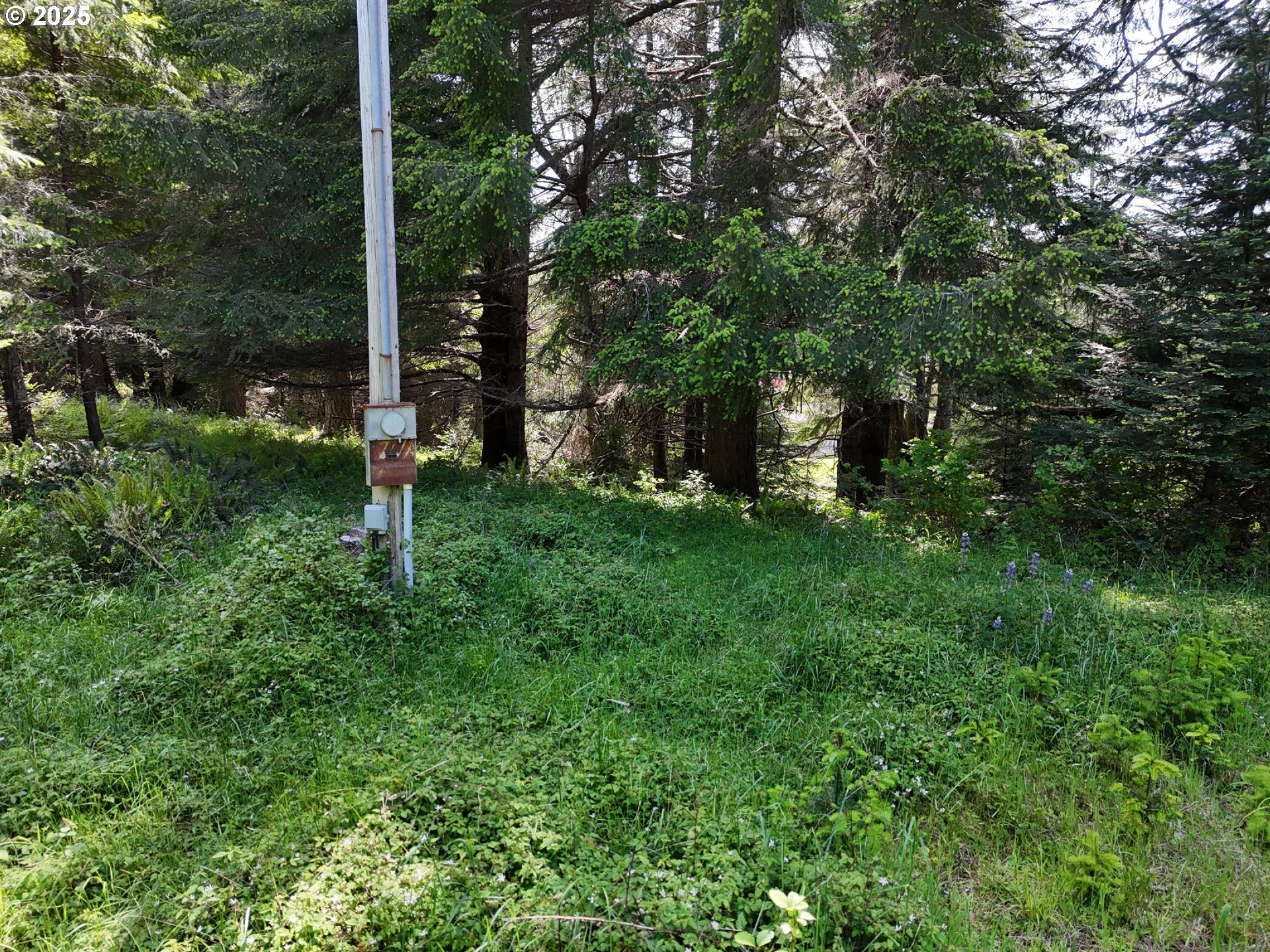 20452 Whaleshead Road Brookings, OR 97415 - Photo 33 of 40 a view of a backyard