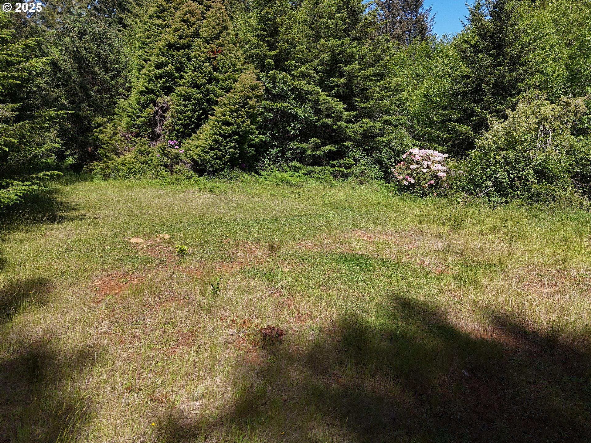 20452 Whaleshead Road Brookings, OR 97415 - Photo 34 of 40 a view of a lush green space with sea