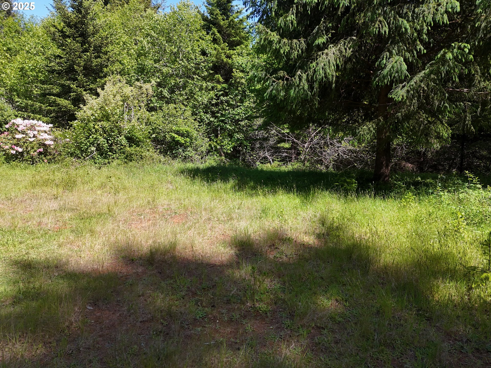 20452 Whaleshead Road Brookings, OR 97415 - Photo 35 of 40 a view of a lake with a yard
