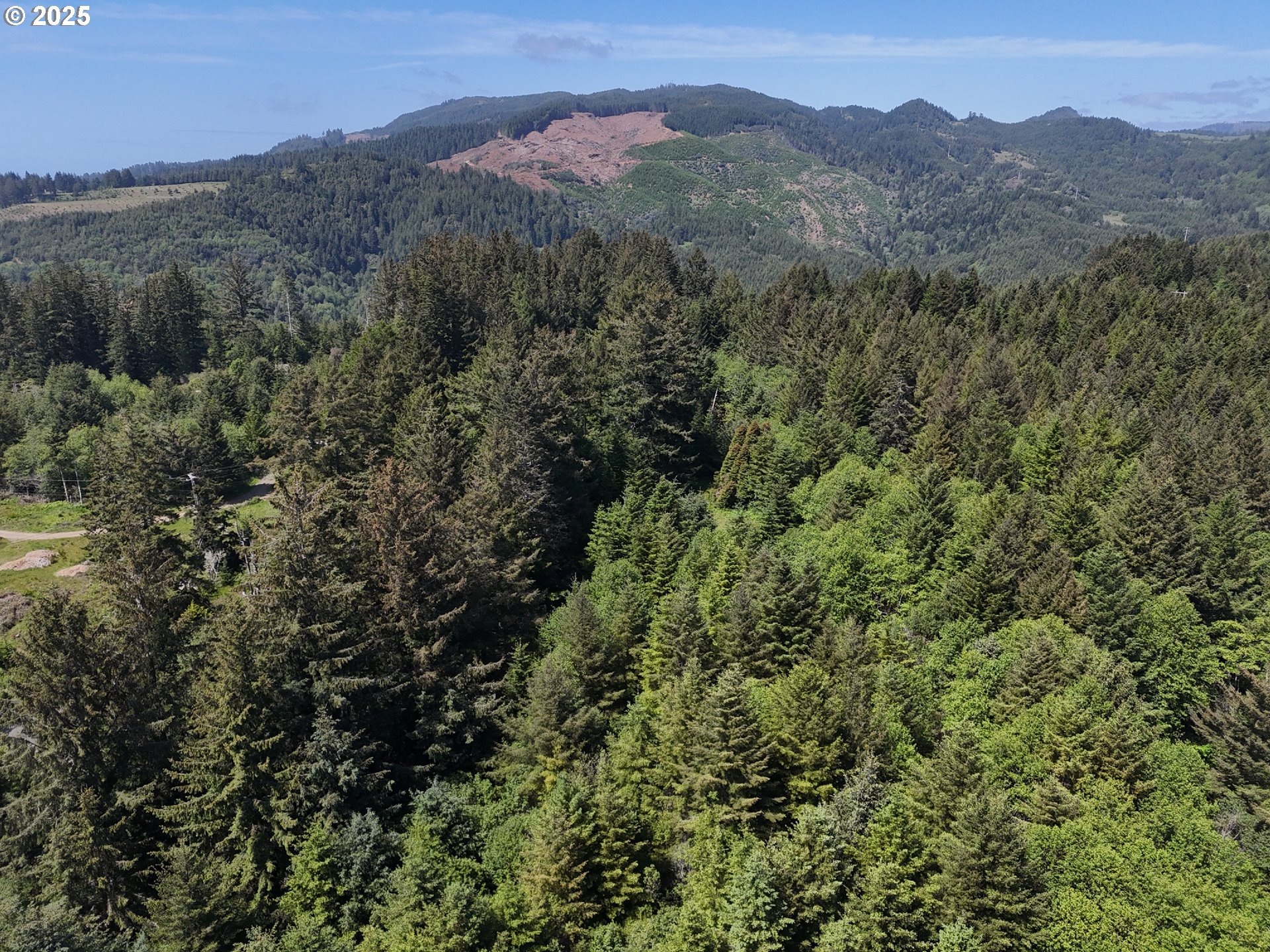 20452 Whaleshead Road Brookings, OR 97415 - Photo 36 of 40 a view of a lush green hillside and a mountain