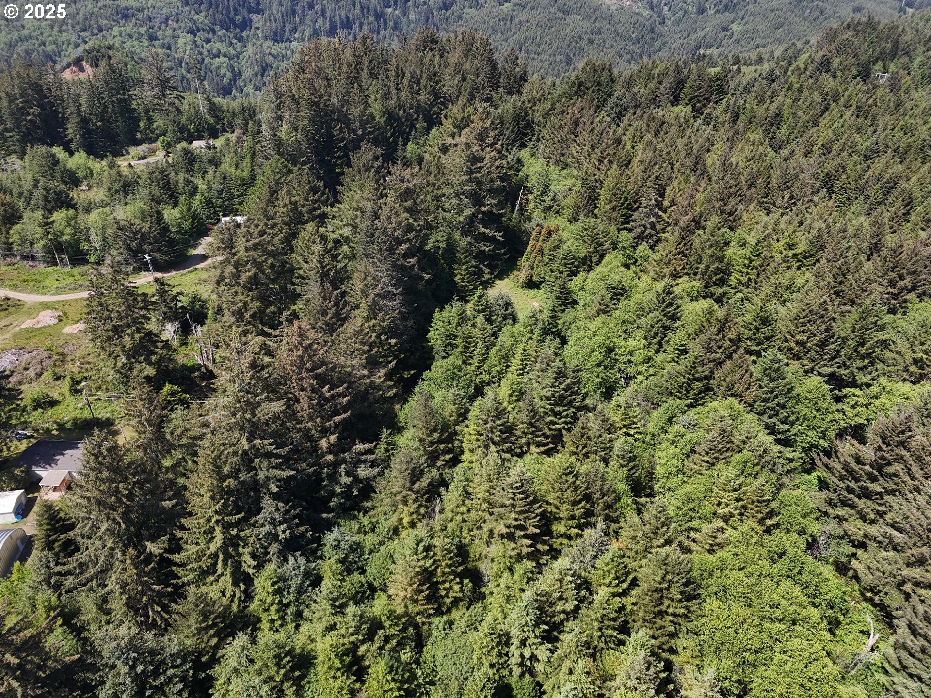 20452 Whaleshead Road Brookings, OR 97415 - Photo 37 of 40 a view of a large yard with lots of bushes