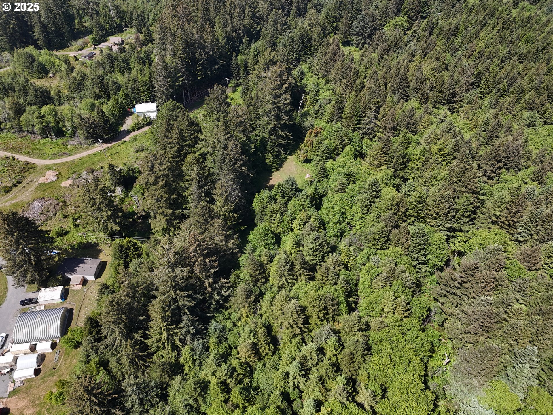 20452 Whaleshead Road Brookings, OR 97415 - Photo 38 of 40 a view of a forest with a tree