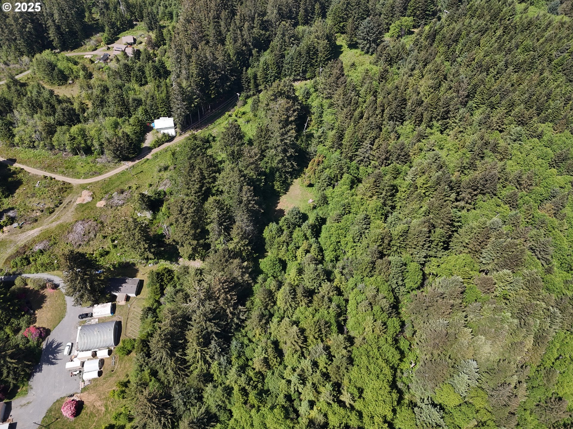 20452 Whaleshead Road Brookings, OR 97415 - Photo 40 of 40 a view of a forest with a tree