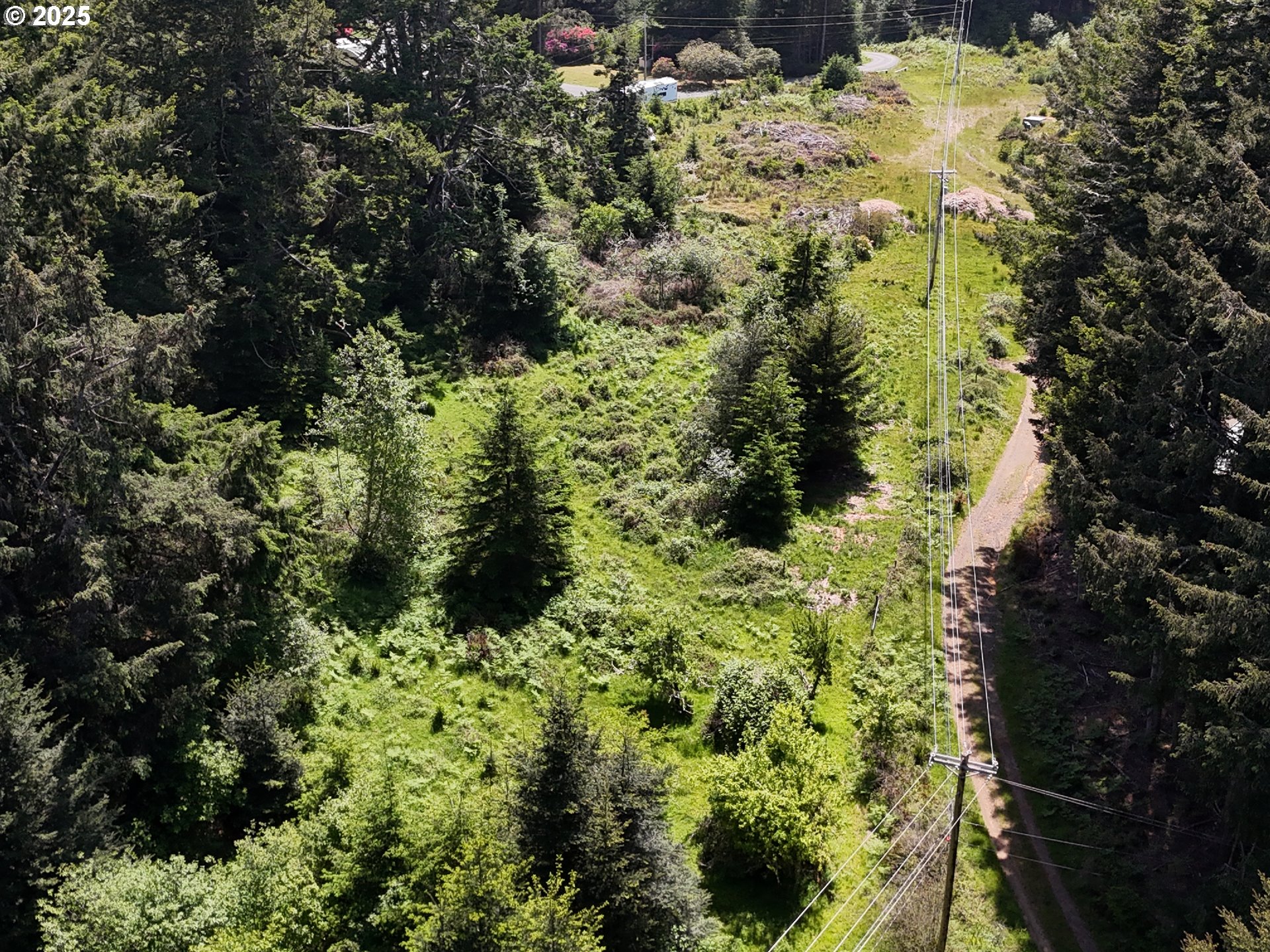 20452 Whaleshead Road Brookings, OR 97415 - Photo 6 of 40 a view of a garden with plants