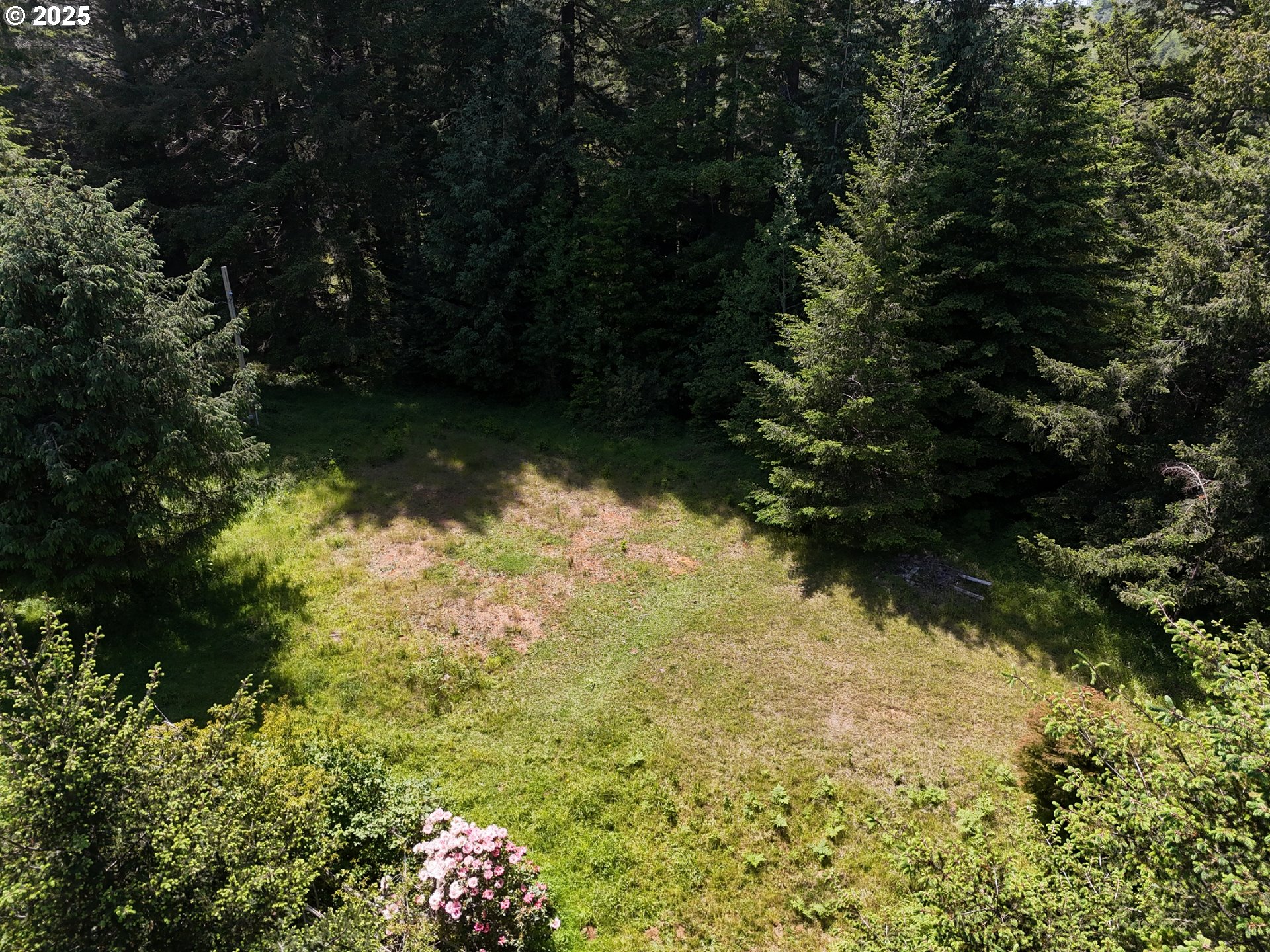 20452 Whaleshead Road Brookings, OR 97415 - Photo 8 of 40 a view of lake background with green space