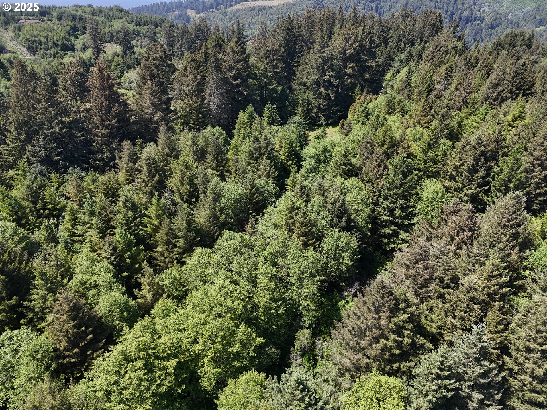 20452 Whaleshead Road Brookings, OR 97415 - Photo 9 of 40 an aerial view of residential house with outdoor space and trees all around