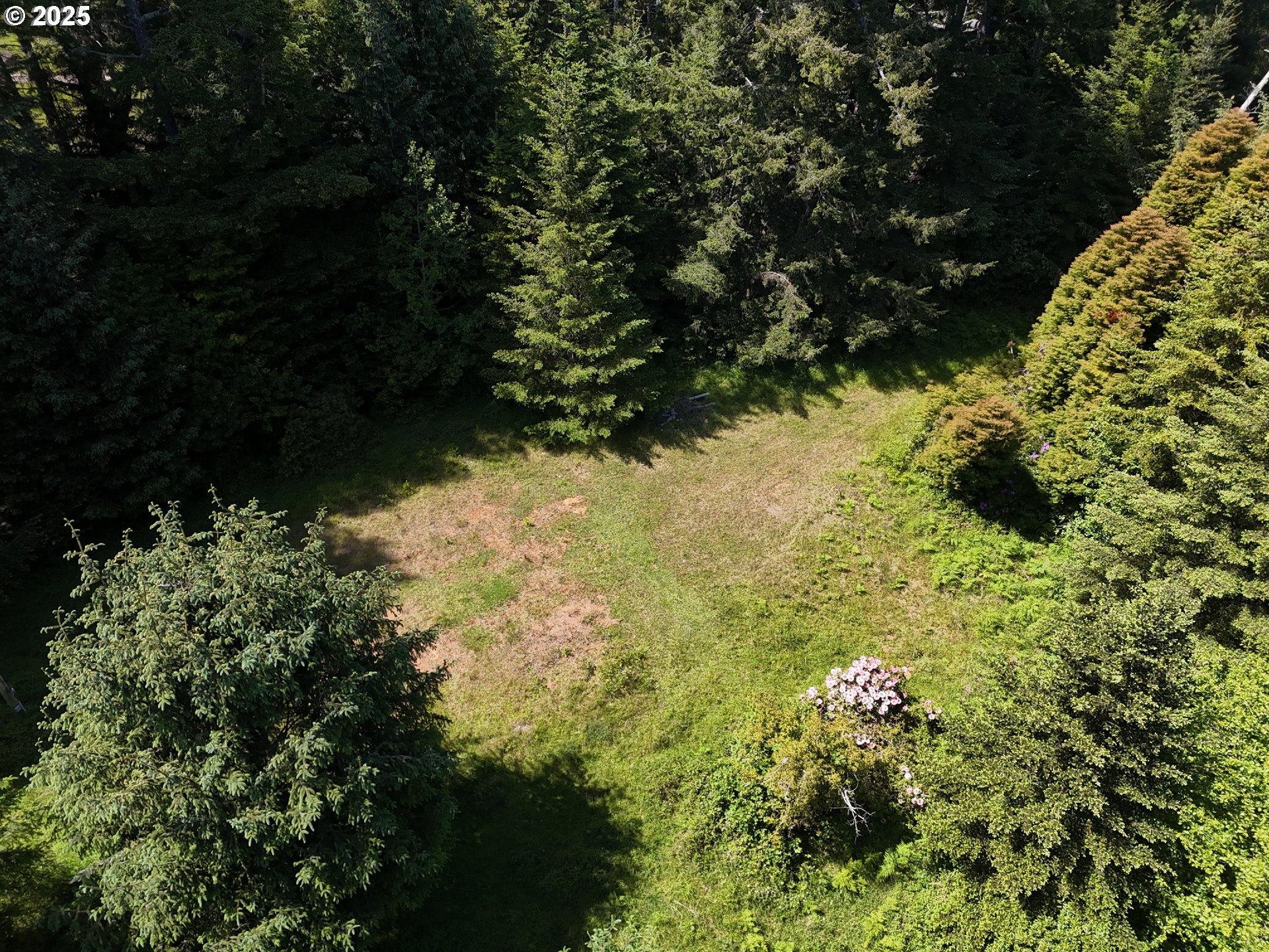 20452 Whaleshead Road Brookings, OR 97415 - Photo 10 of 40 a view of a garden with plants