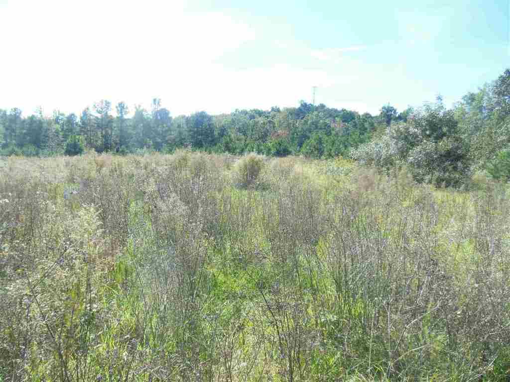 12.5-acres Travis Road Anderson, SC 29626 - Photo 1 of 5