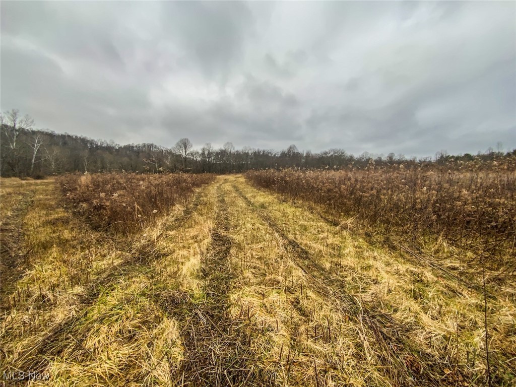 0 Wells Road Middleport, OH 45760 - Photo 10 of 27 View of nature featuring rural landscape