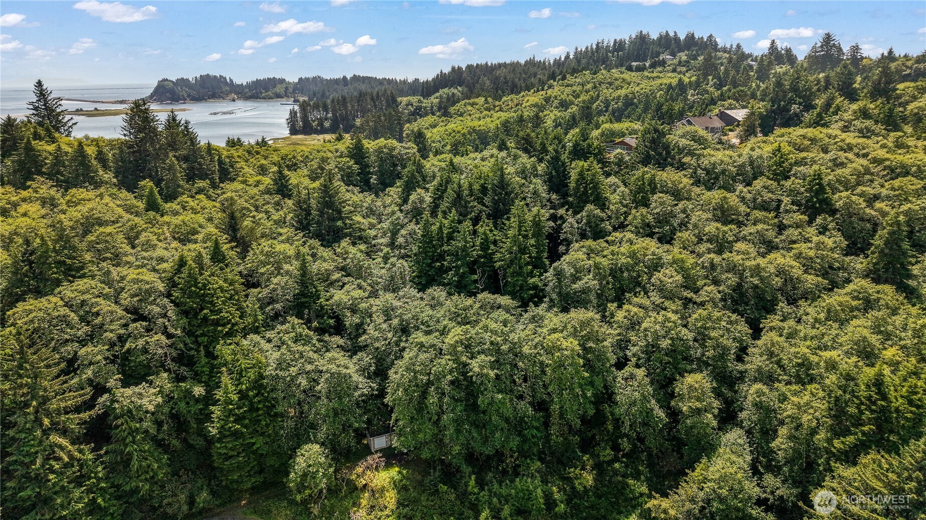 5001 4th Avenue Southwest Ilwaco, WA 98624 - Photo 8 of 22 an aerial view of a city with lots of residential buildings