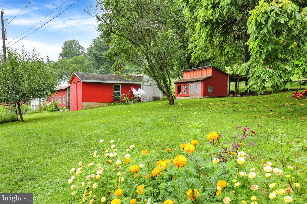 149 Bingaman Road Reading, PA 19606 - Photo 17 of 60 More out buildings- and a chicken coop too!