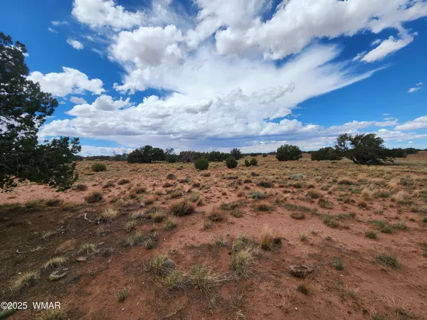 $35,000 | 5386 County Road, Concho, AZ 85924