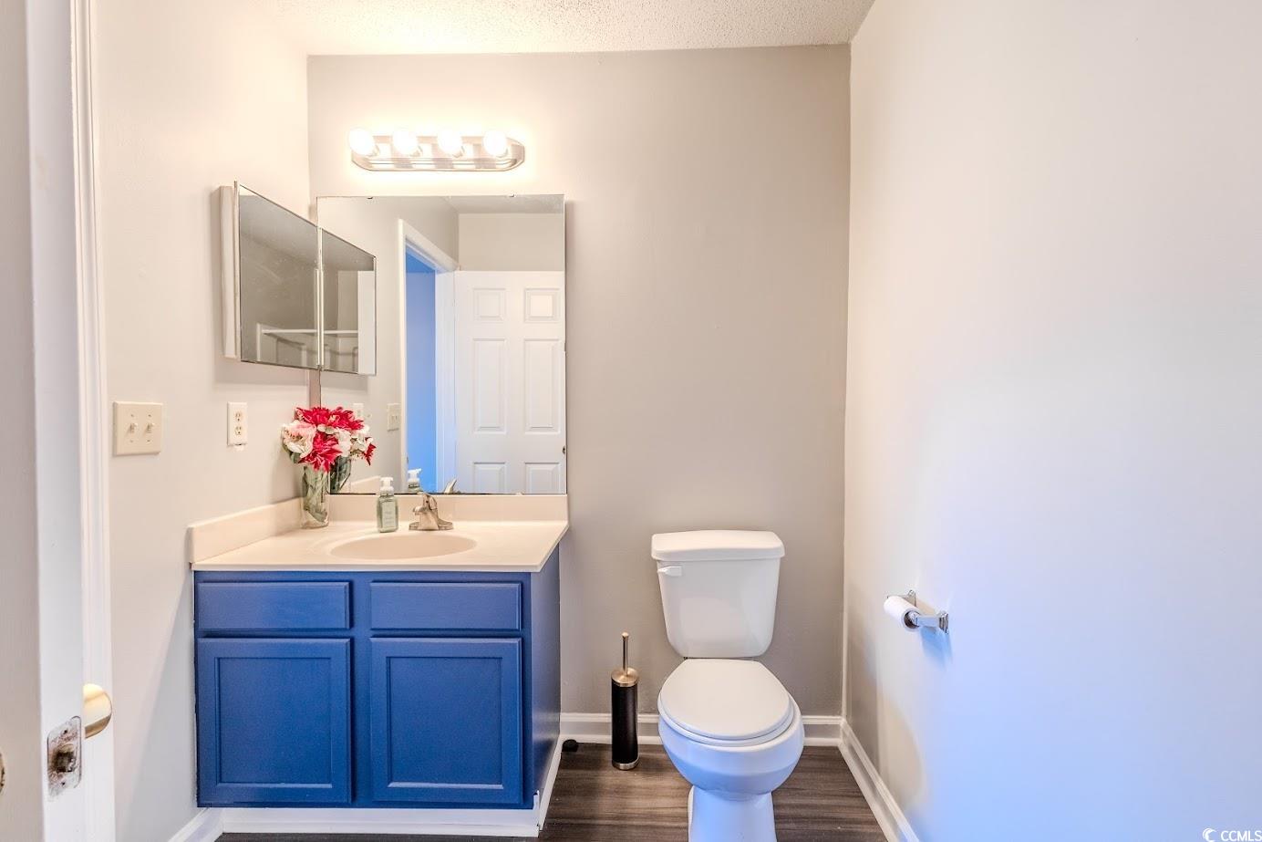 4246 Villas Drive, Unit 706 Little River, SC 29566 - Photo 19 of 20 Bathroom with vanity, dark wood-style flooring, and a textured ceiling