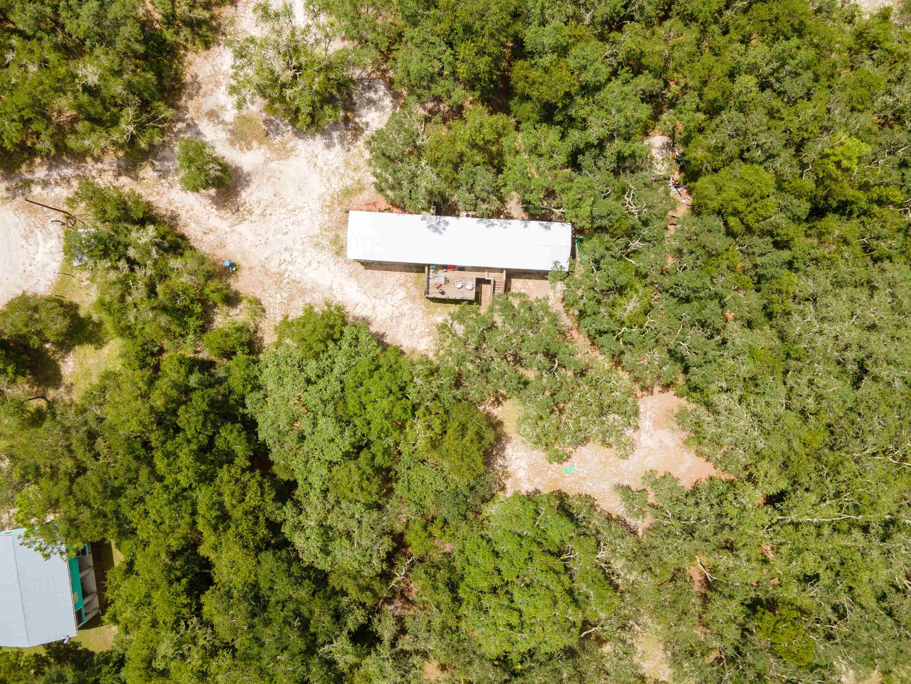 1695 Tansy Road Mayo, FL 32066 - Photo 1 of 14 Gallery Image 1