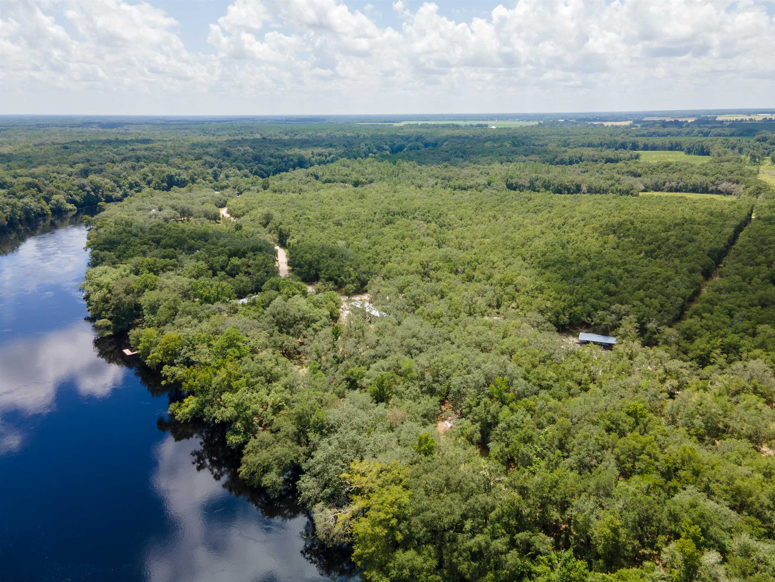 1695 Tansy Road Mayo, FL 32066 - Photo 5 of 14 Gallery Image 5
