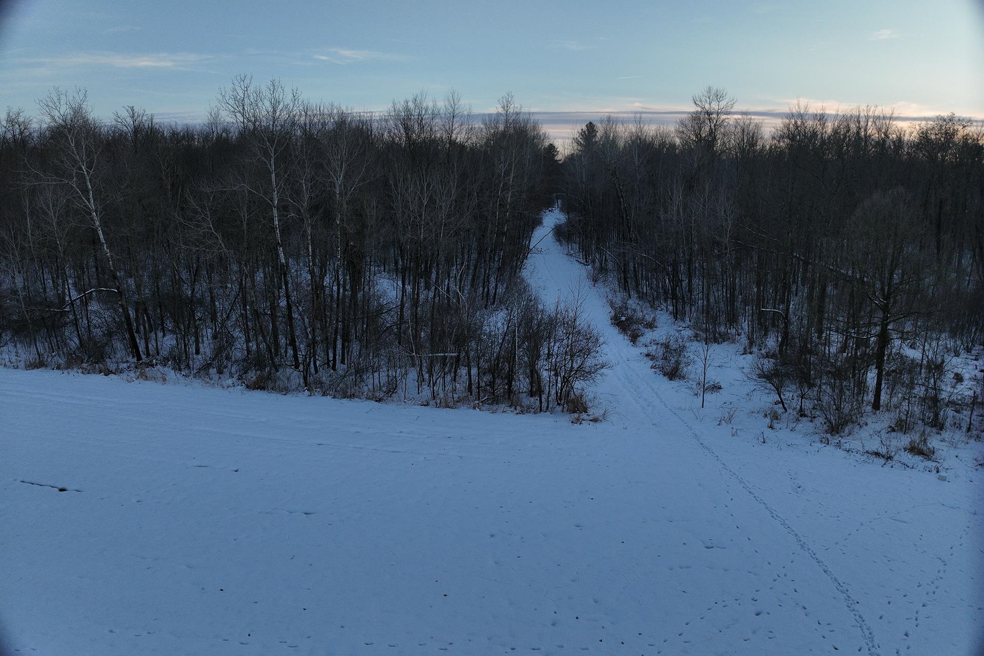 65.32-acres Bobwhite Road Neillsville, WI 54456 - Photo 14 of 26