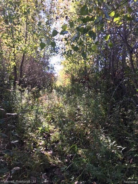 3375 Five Mile Road South Lyon, MI 48178 - Photo 5 of 11
