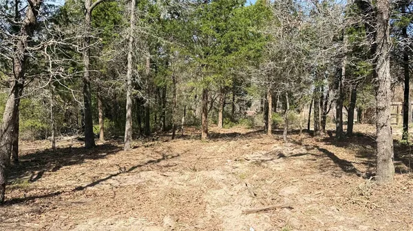 a view of a yard with large trees
