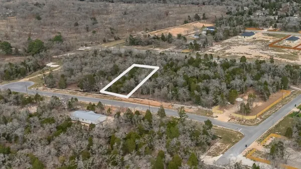 a view of a yard with a tree
