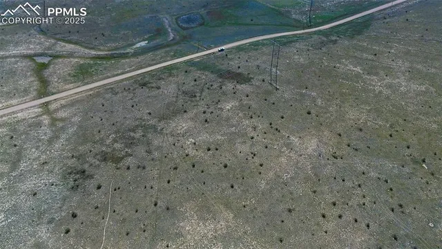 a view of a pathway in a yard