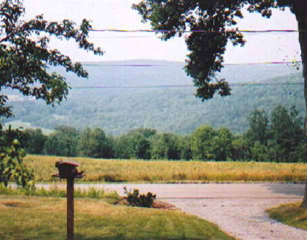 984 East Hill Road Middleburgh, NY 12122 - Photo 3 of 10 Photo 3