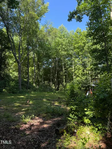 a big yard with lots of green space and trees