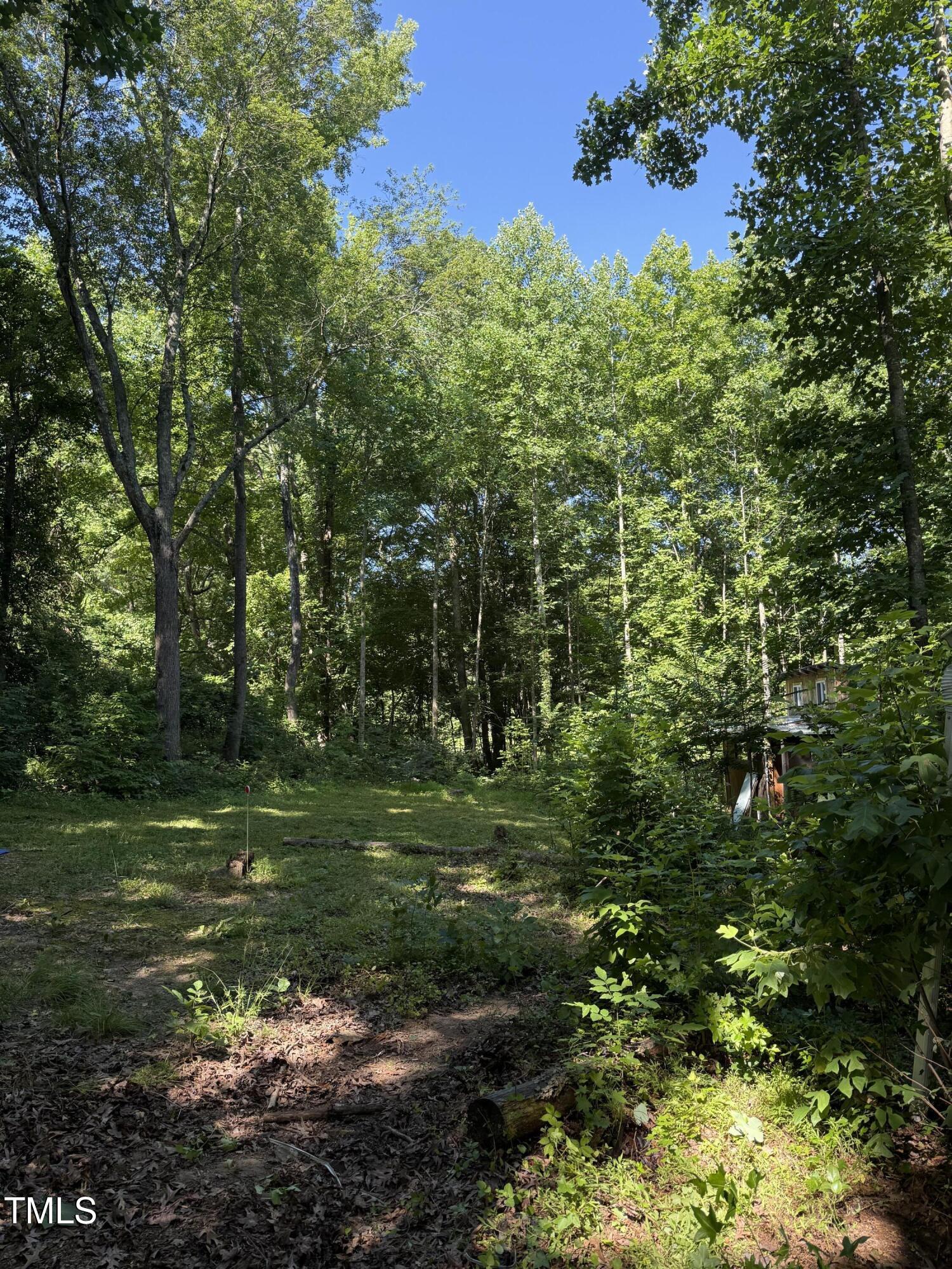 190 Louise Jenkins Road Moncure, NC 27559 - Photo 2 of 6 a big yard with lots of green space and trees
