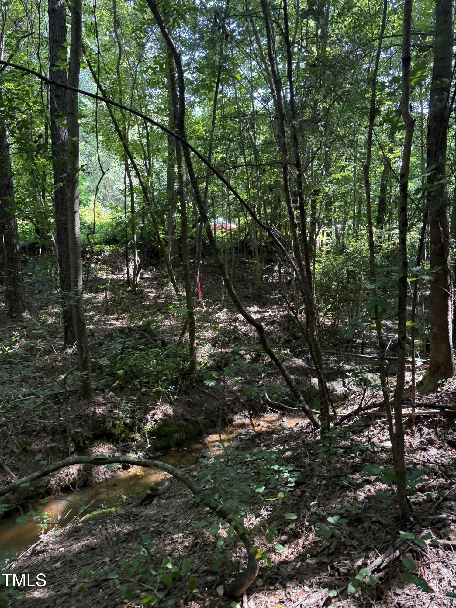 190 Louise Jenkins Road Moncure, NC 27559 - Photo 6 of 6 a backyard of a house with lots of green space