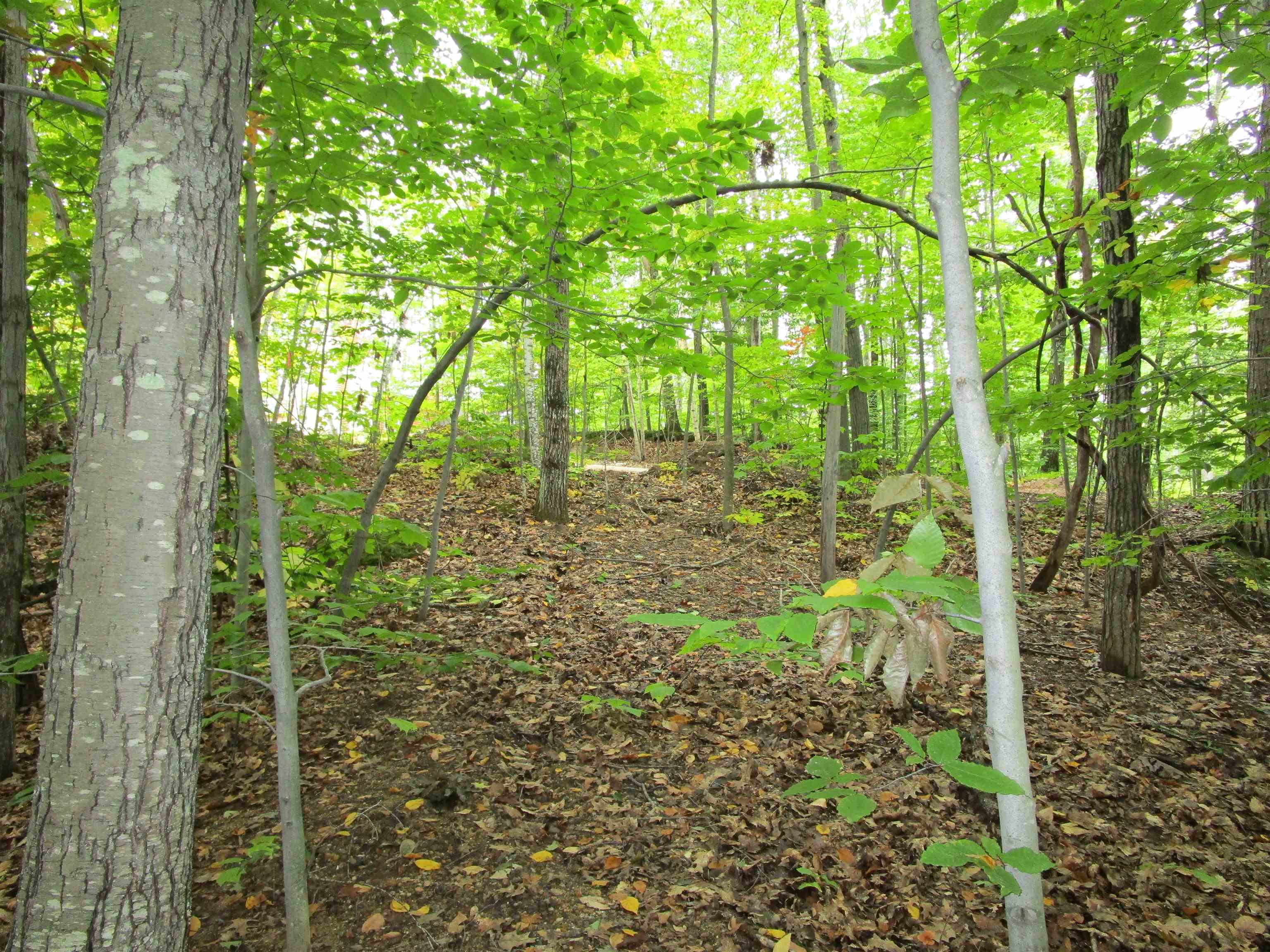 Colonial Road, Unit 17 Laconia, NH 03246 - Photo 6 of 15 Gallery Image 6