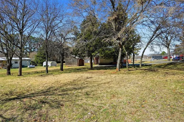 a view of a yard with a tree