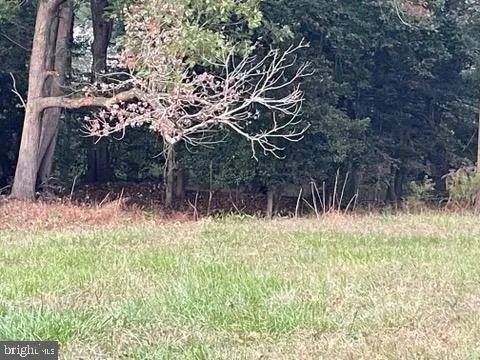 a backyard of a house with lots of green space and fountain