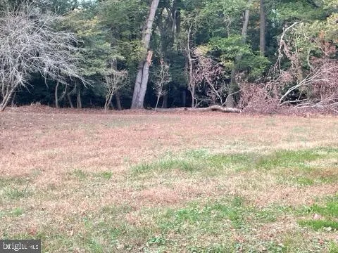 $229,000 | 0 Rt 54, Selbyville, DE 19975