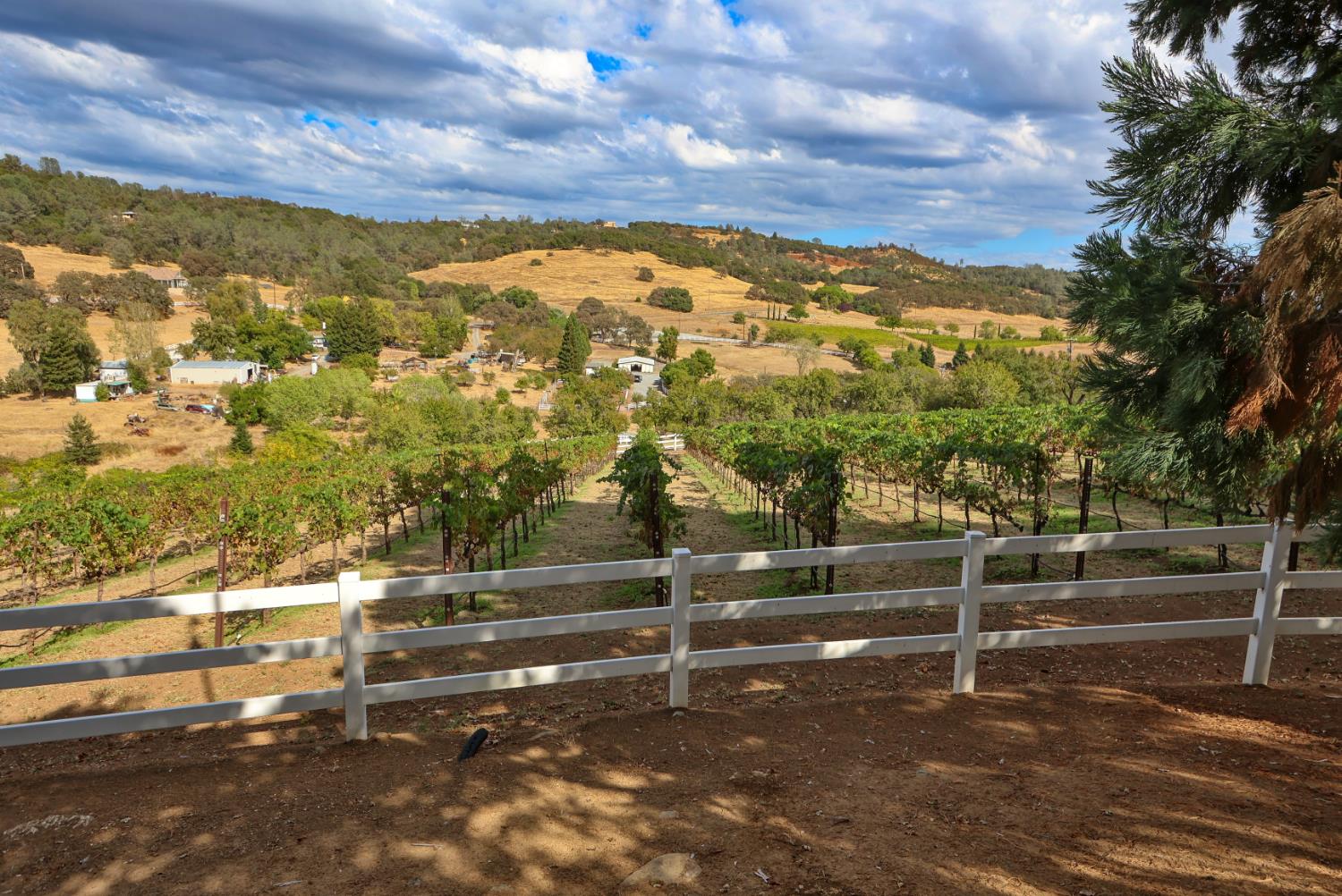 6000 Salmon Falls Road Pilot Hill, CA 95664 - Photo 76 of 99 Gallery Image 76