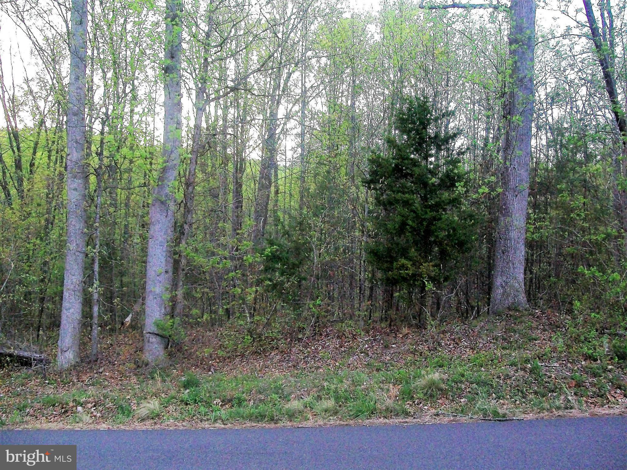 Round Hill Road Boston, VA 22713 - Photo 2 of 8 Wooded Site