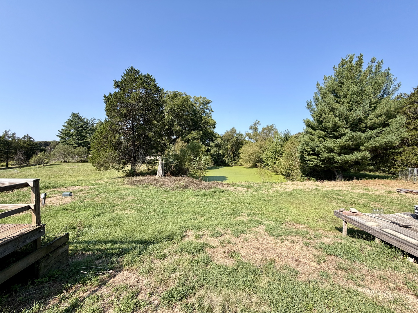 1925 Murphy Road Creal Springs, IL 62922 - Photo 42 of 45 Gallery Image 42