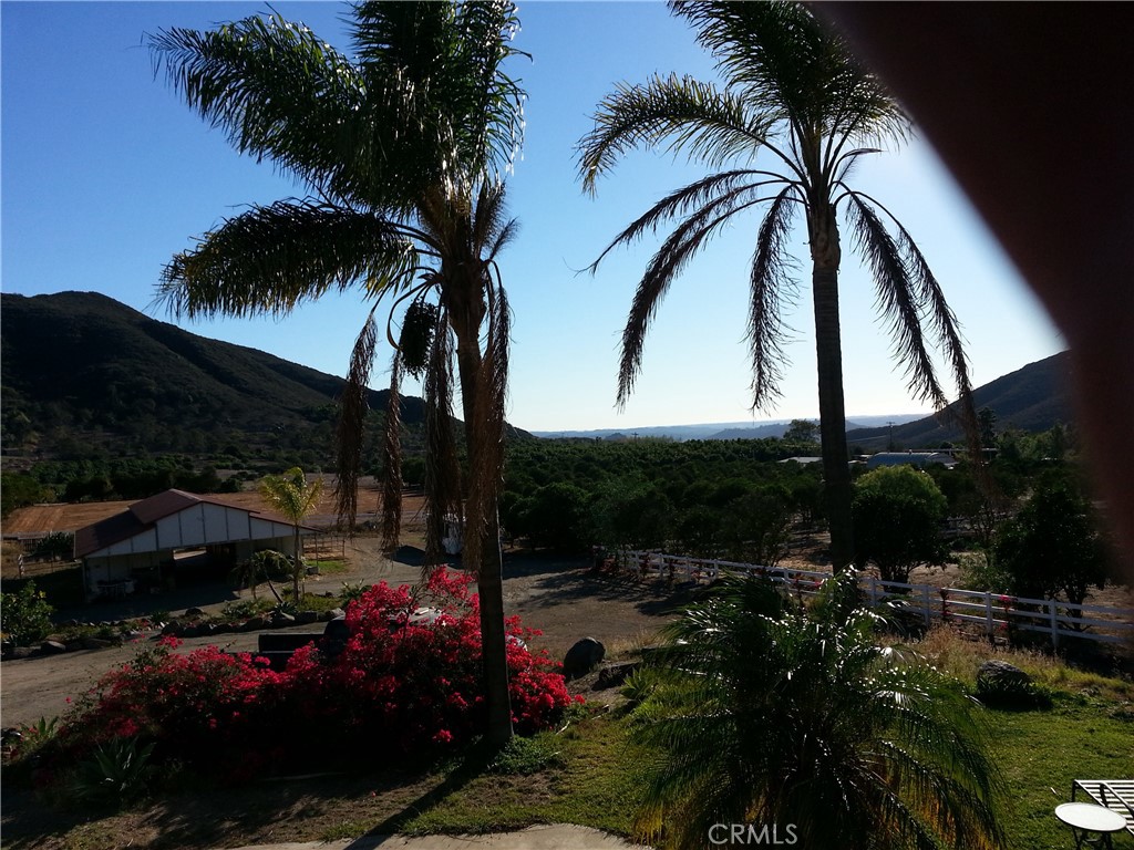 a view of outdoor space and yard