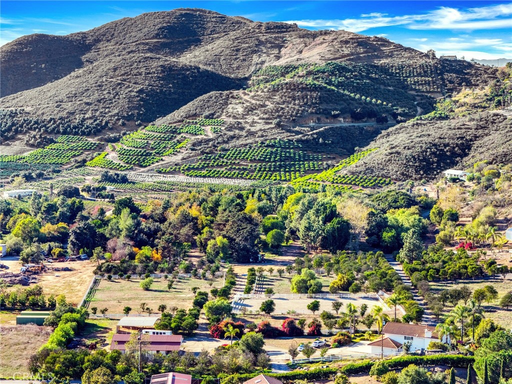 334 Rainbow Crest Road Fallbrook, CA 92028 - Photo 40 of 42 a view of outdoor space