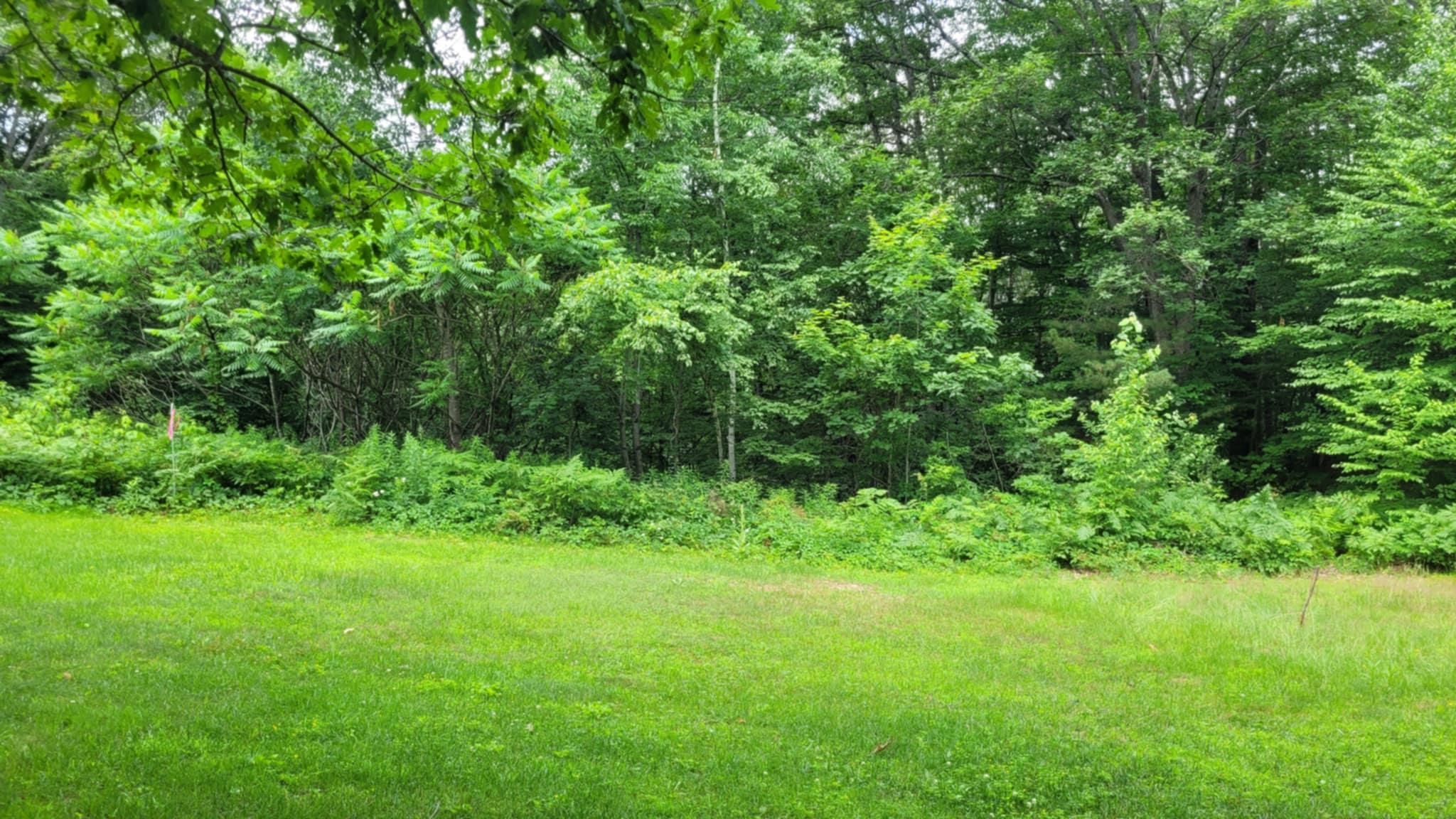 Gill Terrace Ludlow, VT 05149 - Photo 6 of 16